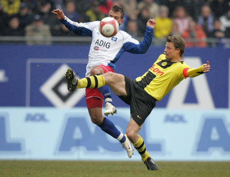 茶叶的健康 茶叶的健康